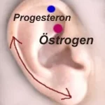 Akupressur Progesteron-Punkt, Östrogen-Punkt